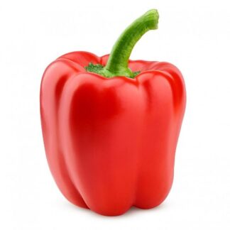 Fresh British 1 RED Pepper Loose Xtra Large