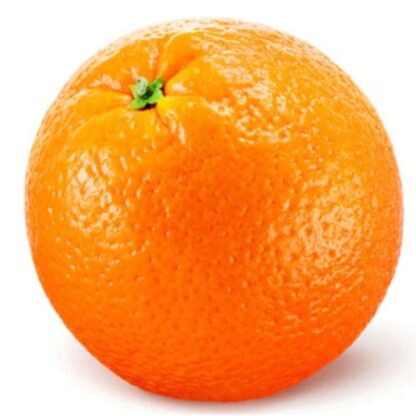 Orange Large Each