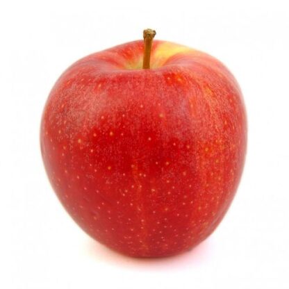 Royal Gala Apple Each Loose