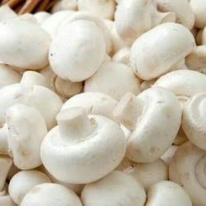British Mushrooms 250gms