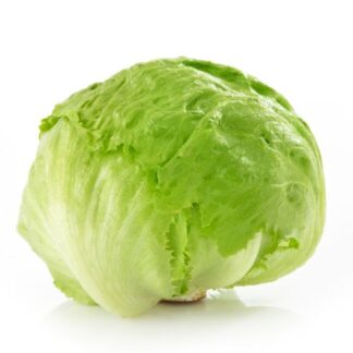 Local Iceberg Lettuce Each