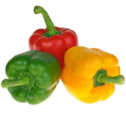 Fresh British 3 Mixed Peppers